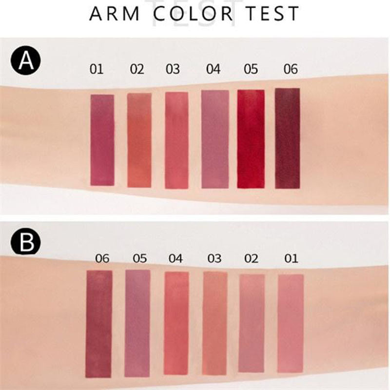 6 Pcs/Set  Long Lasting Waterproof Lipstick Set